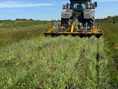 Seedbed preparation soil surface